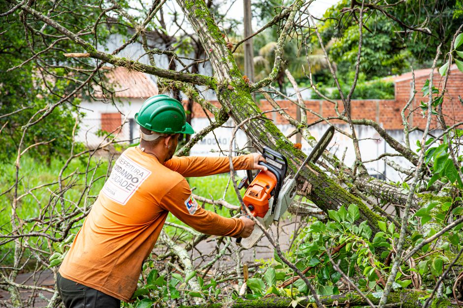 Tree maintenance worker using chainsaw for residential tree removal — who pays for tree removal on property line in Surrey BC
