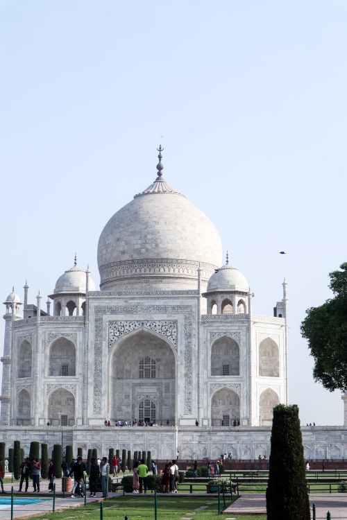 Free Stunning view of the Taj Mahal, an architectural wonder in Agra, India, symbolizing love. Stock Photo