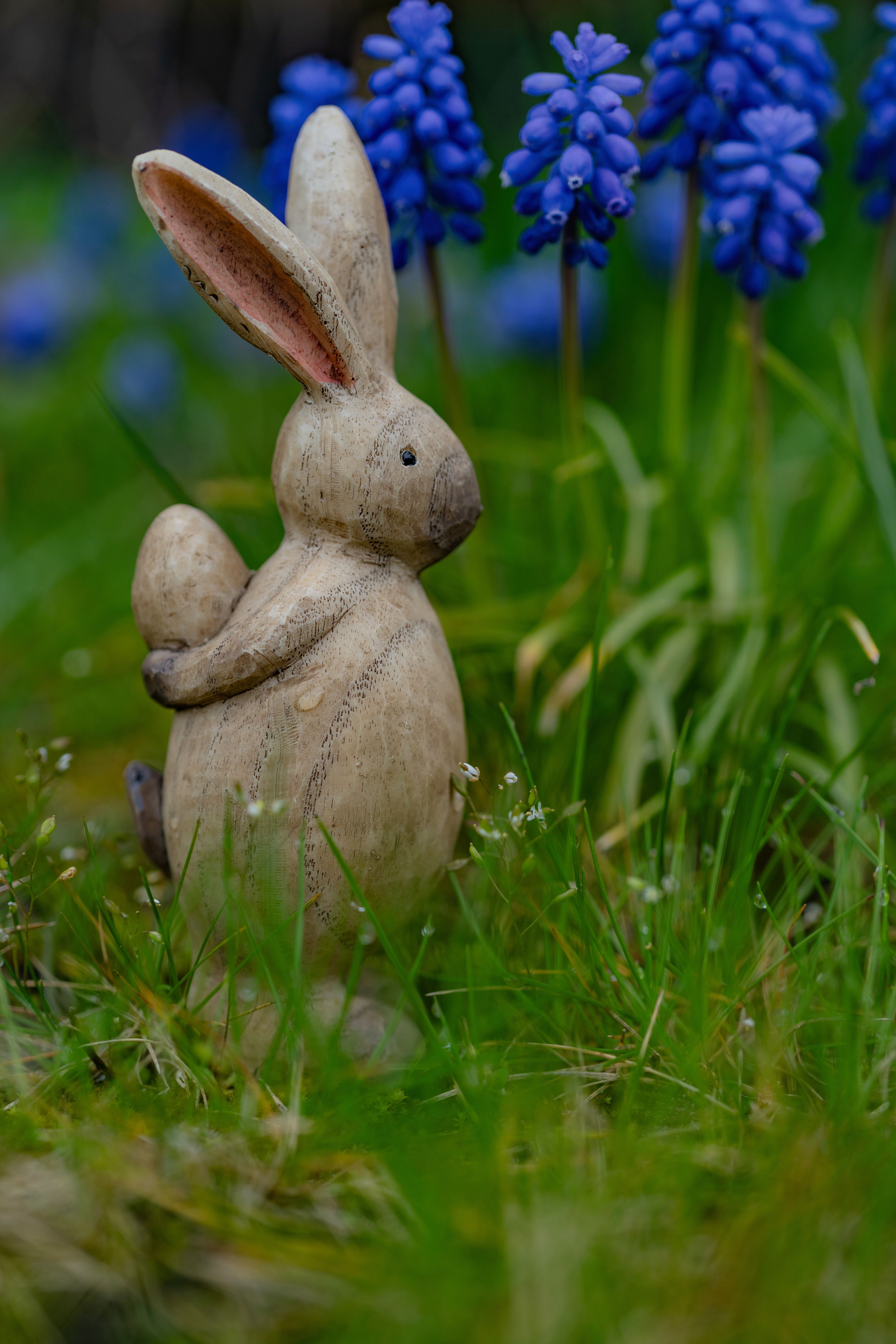 Handcrafted Bunny Photos, Download The BEST Free Handcrafted Bunny ...