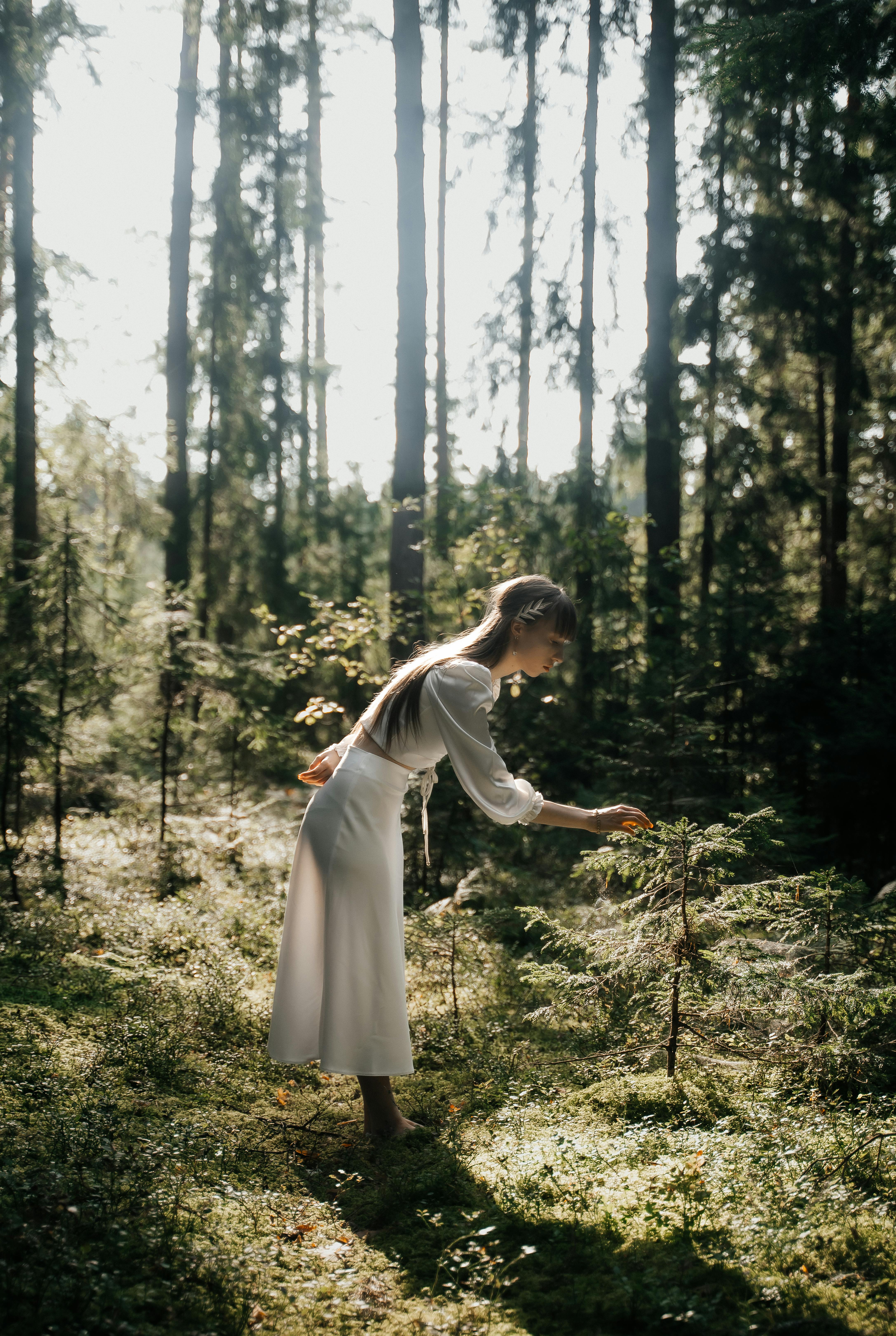 Young woman in white dress bending to examine plants in a sunlit forest.
