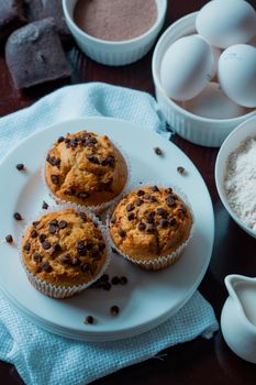 Chocolate Chip Muffin