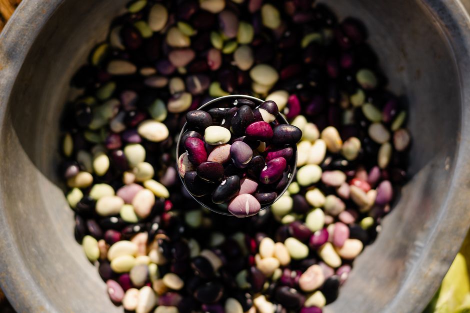 India's Mission for Aatmanirbharta in Pulses