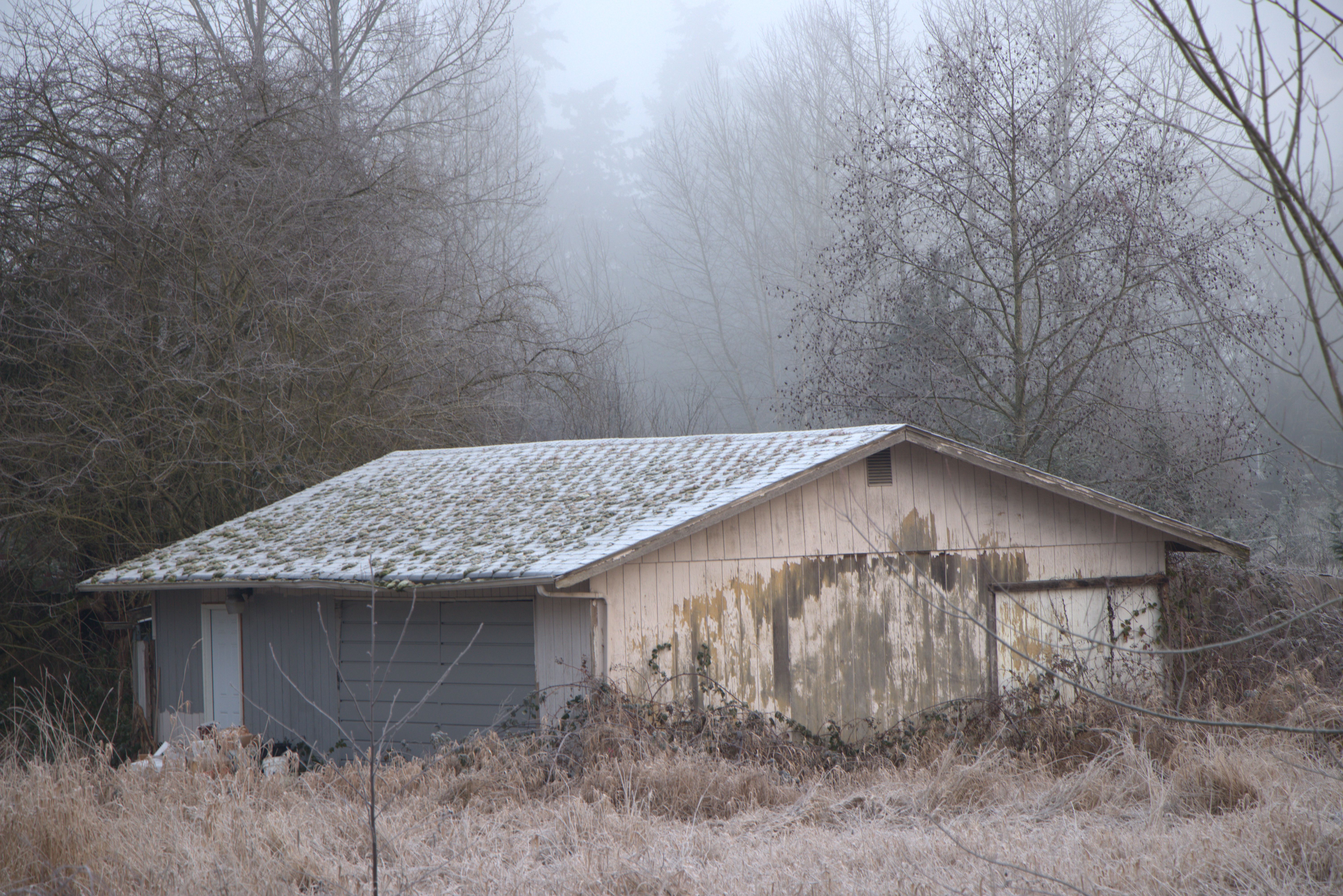 Puyallup, WA