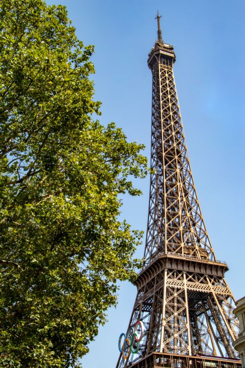 Free The Eiffel Tower in Paris framed by lush summer trees and blue skies, showcasing iconic architecture. Stock Photo
