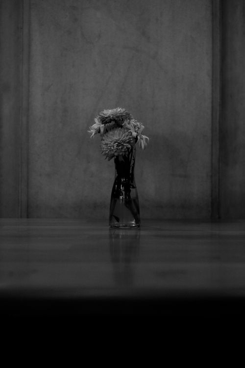 Free Elegant black and white photo of a vase with flowers in a minimalist setting. Stock Photo