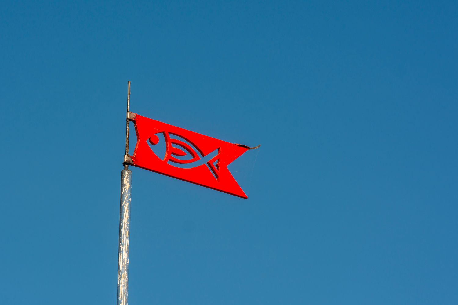 Fish Symbols Photos, Download The BEST Free Fish Symbols Stock Photos ...
