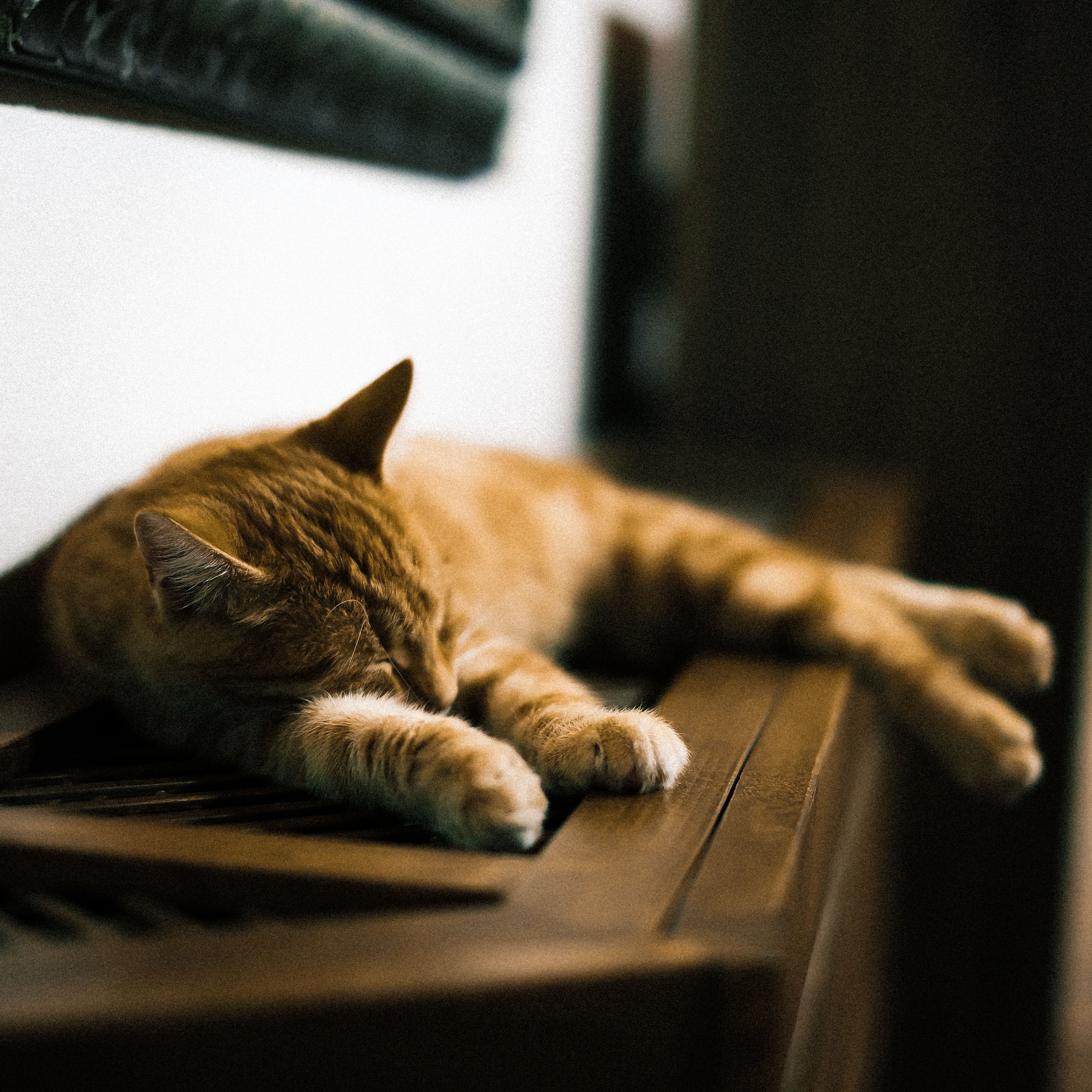 A serene image of a ginger cat sleeping soundly on a wooden surface indoors.