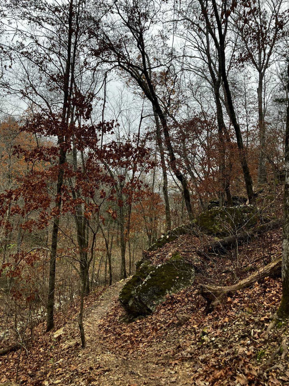 Arkansas - Tiny Homes