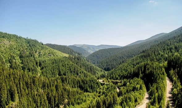 Explore the lush green forested hills of Timișu de Jos, Romania, on a sunny day.