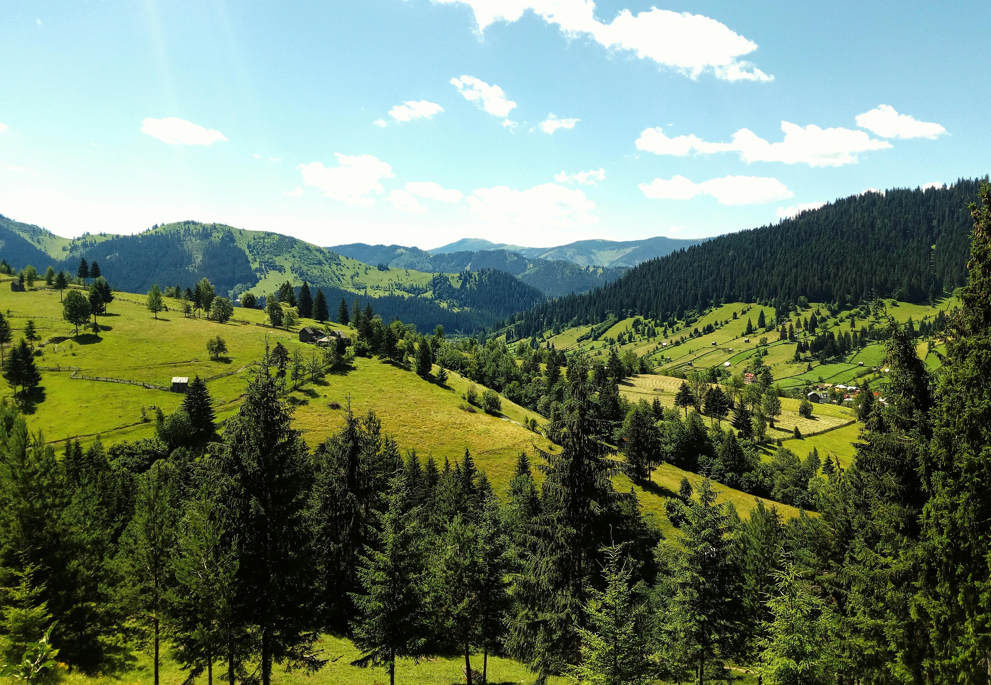 Photo of Vatra Dornei