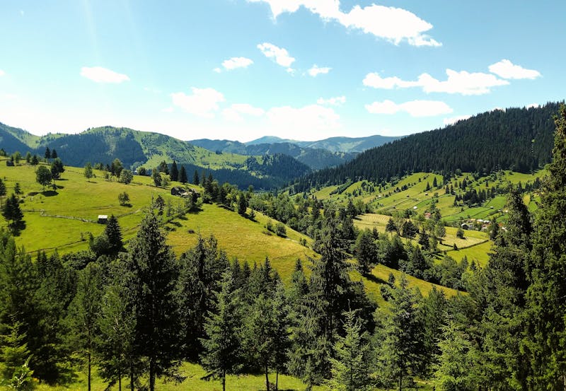 Paysage verdoyant avec collines et forêt à Vatra Dornei, Roumanie