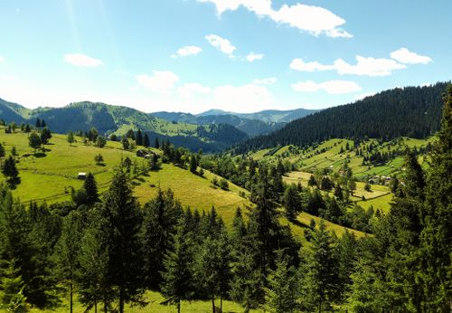 Free Lush green landscape with hills and forest in Vatra Dornei, Romania, under clear blue sky. Stock Photo