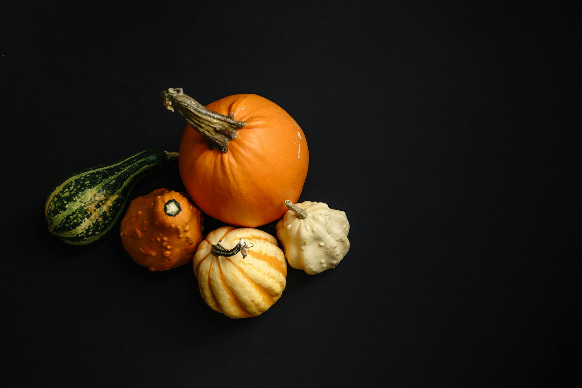 High Angle Shot of Pumpkins