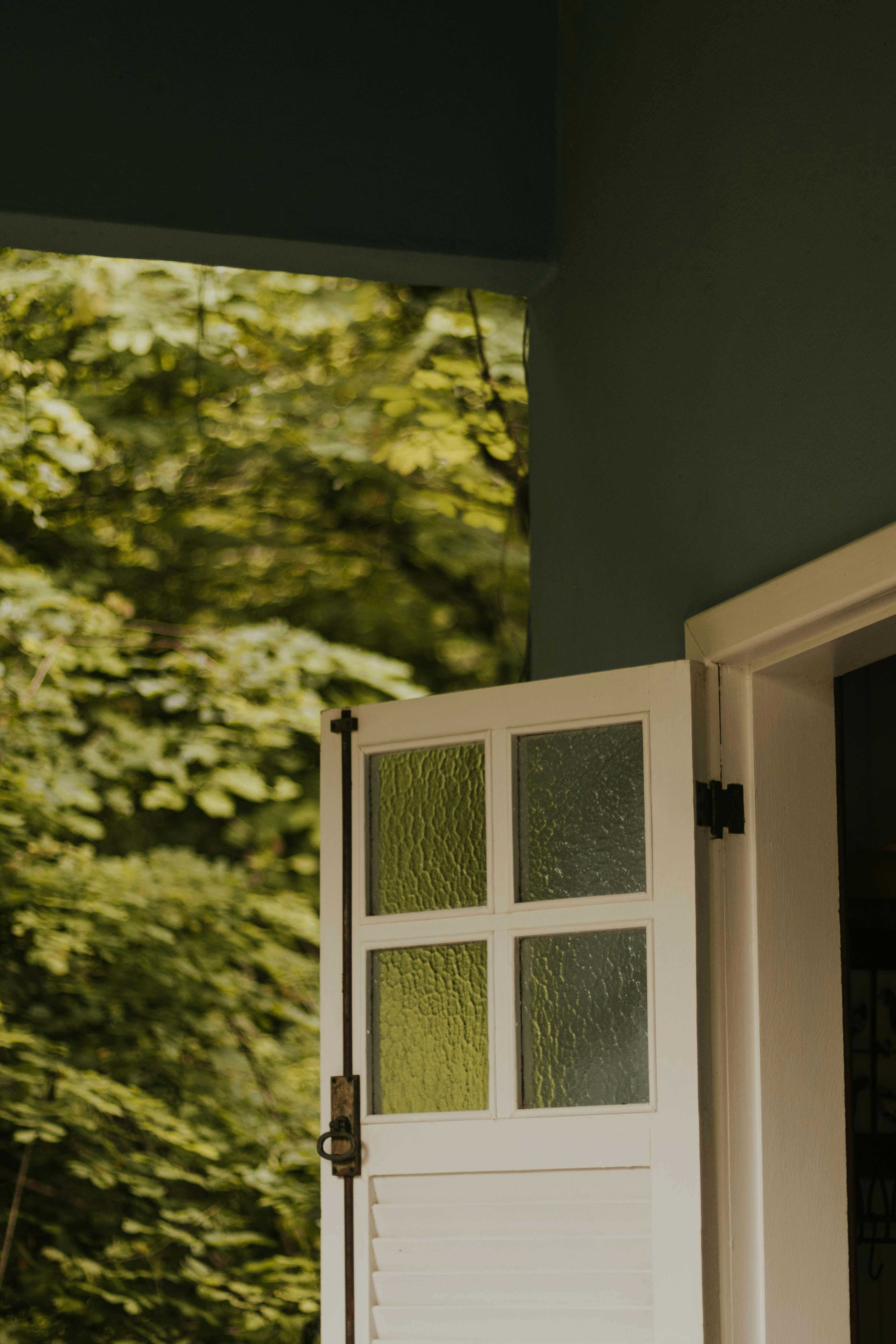 A partially open white door reveals a view of vibrant green foliage outside.