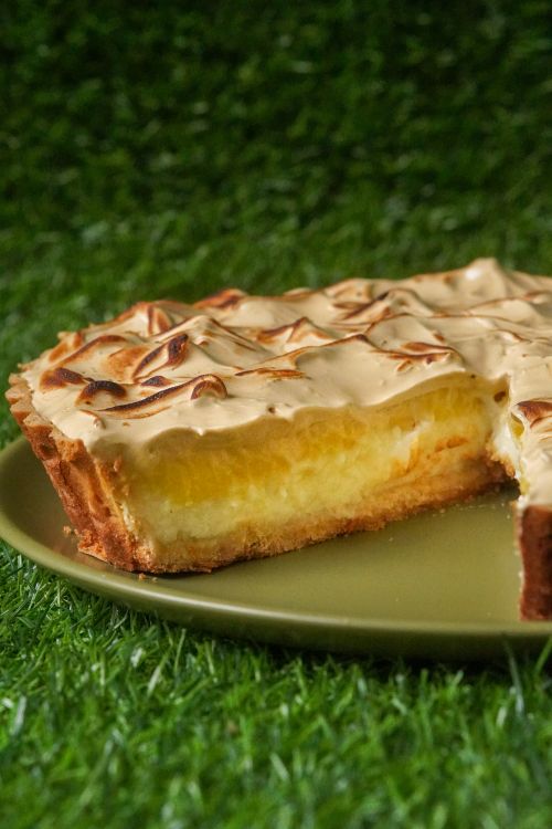 Free Delicious slice of lemon meringue pie on a green plate with grass background. Stock Photo