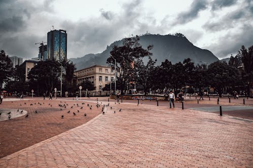 Free stock photo of cloudscape, street style