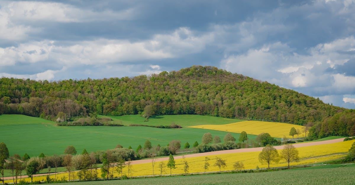 Foto profissional gratuita de agricultura, alemanha, ambiente tranquilo ...
