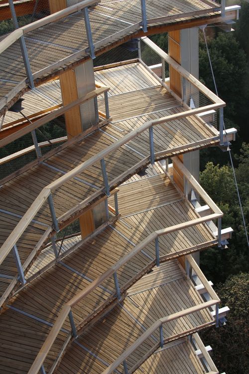 Free Aerial view of a wooden spiral staircase amidst lush greenery. Stock Photo