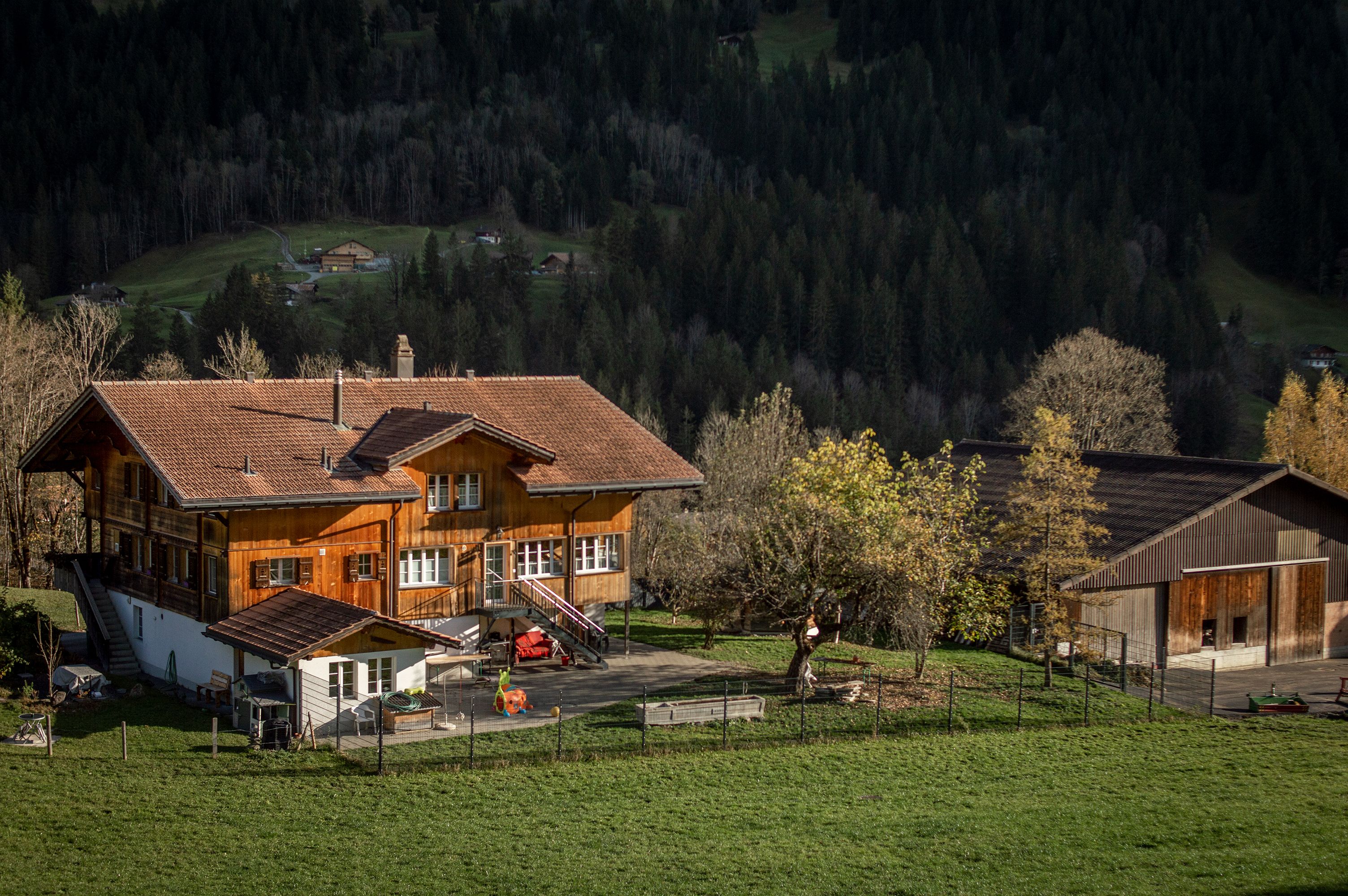 Scenic view of a traditional Swiss chalet in Grindelwald surrounded by lush greenery. - Berna