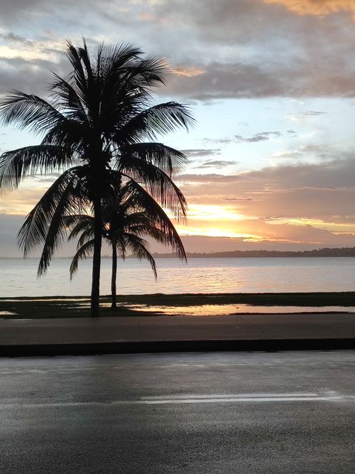 Free Scenic view of palm trees silhouetted against a vibrant sunset over the ocean. Stock Photo