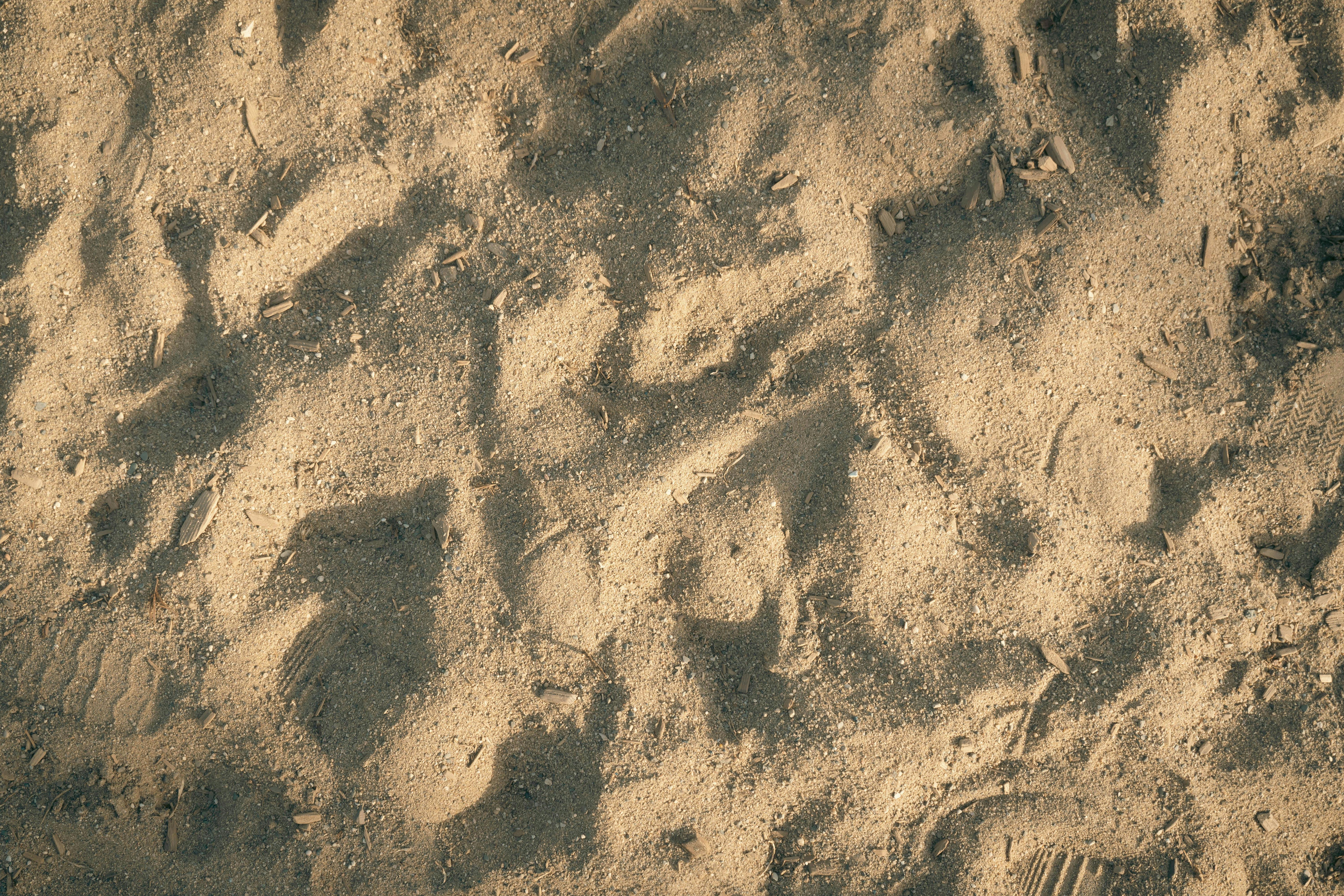 無料 足跡が見える砂浜のテクスチャのクローズアップ。有機的で自然なパターンを生み出しています。 写真素材
