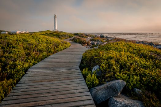 Serene wooden pathway leading to a lighthouse in Cape Town, surrounded by lush greenery.