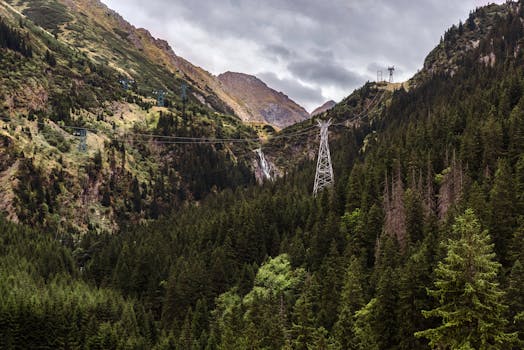 Serene mountain landscape with electric lines through lush trees in Cârțișoara, Romania.
