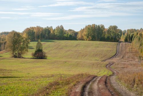 Free Idyllic rural landscape with winding dirt road and vibrant autumn trees. Stock Photo