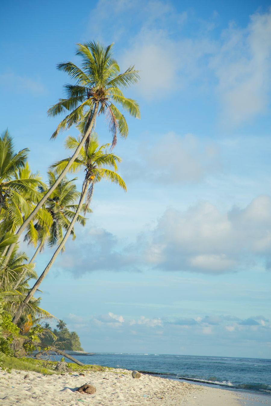 Fa'a Samoa & village life