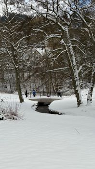 Serene winter scene with snow-covered bridge and forest.