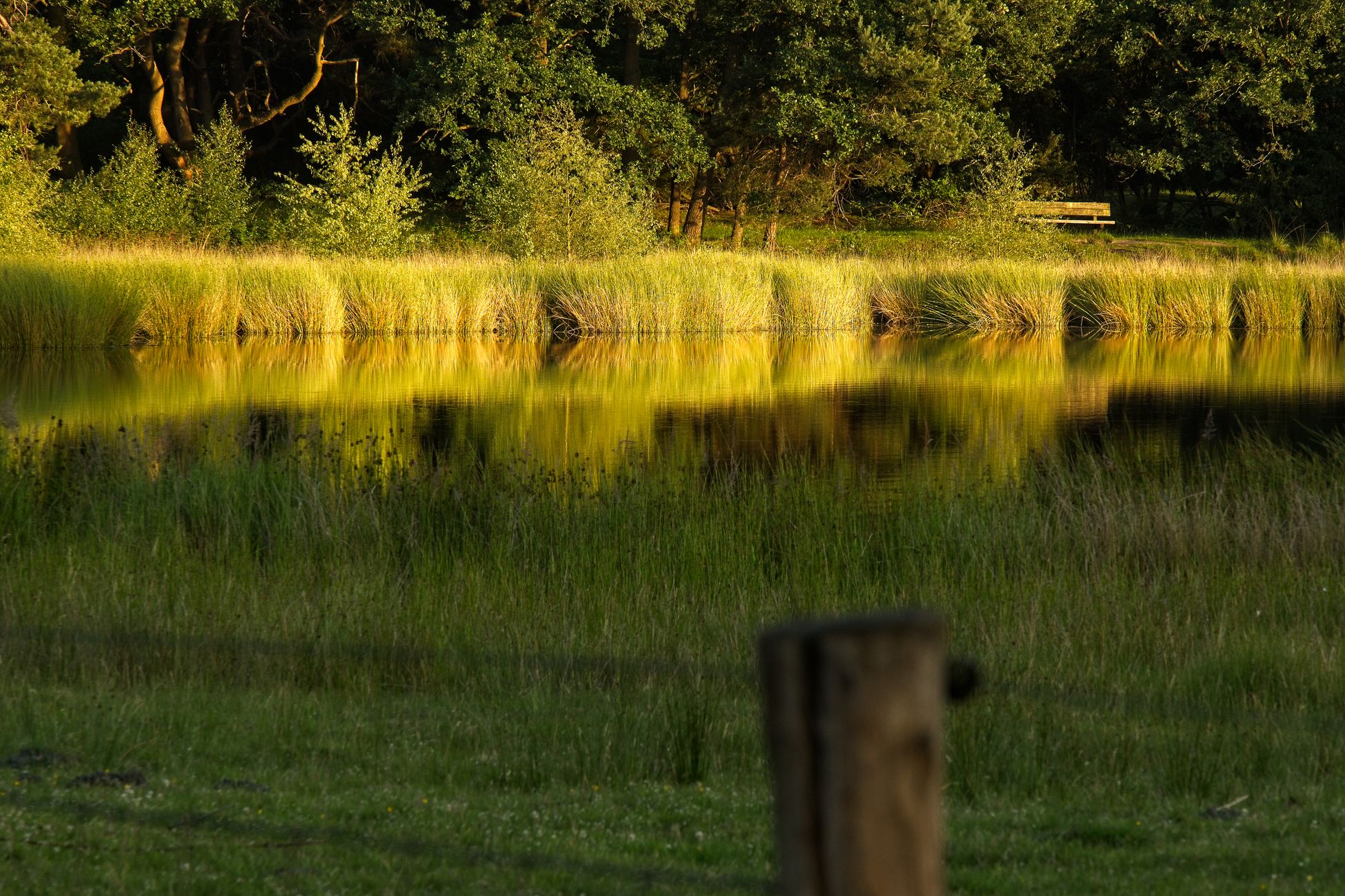 BBB heeft nog onbeantwoorde vragen over stikstofscherm Brunssumerheide