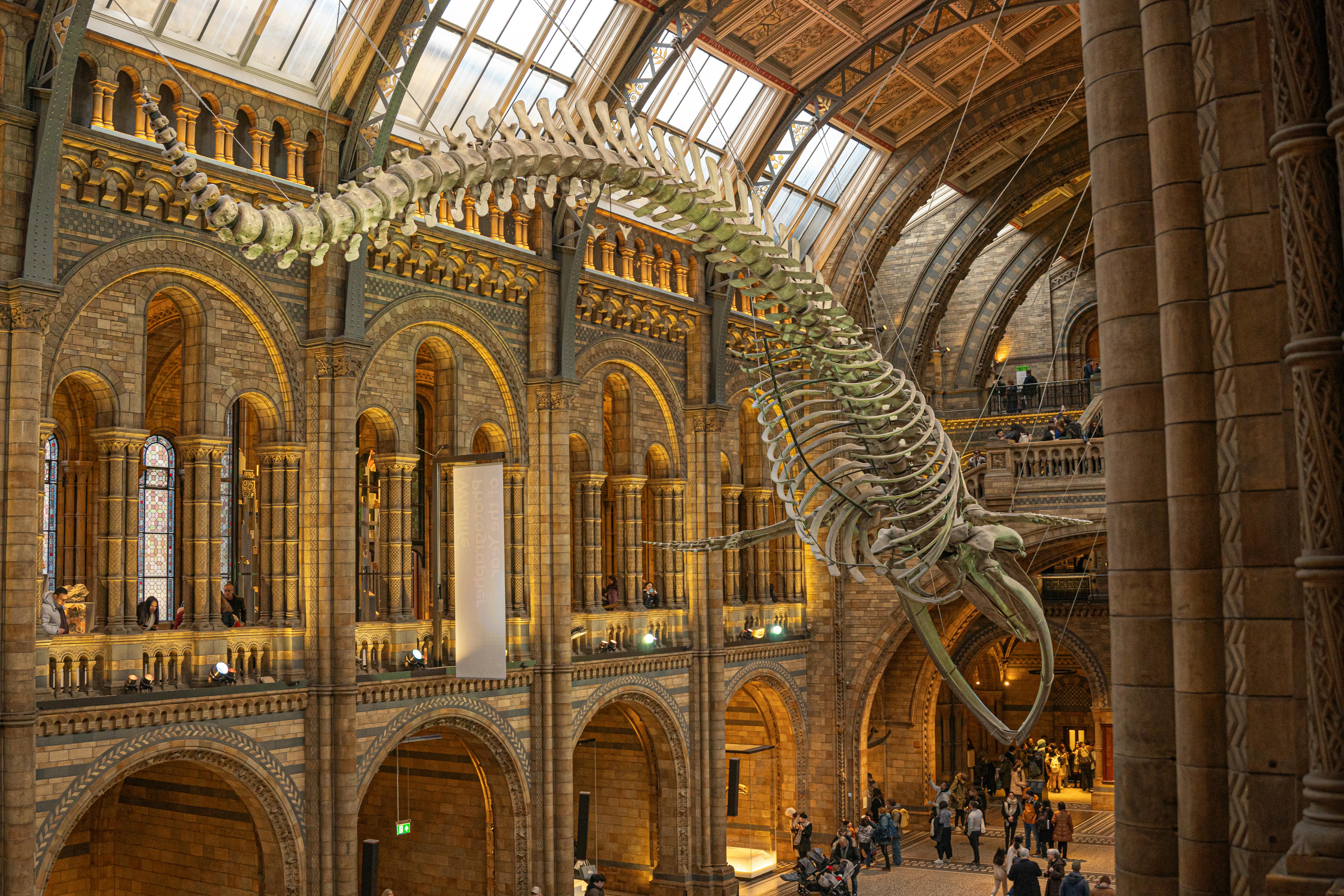 La pas printre dinozauri: trasee pe urmele fosilelor