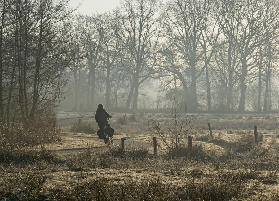 Cyclist on a foggy morning ride through the autumn countryside in Assen, Drenthe.