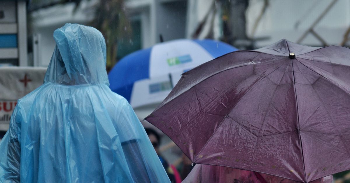 雨具で雨をしのぐ人たち(イメージ)