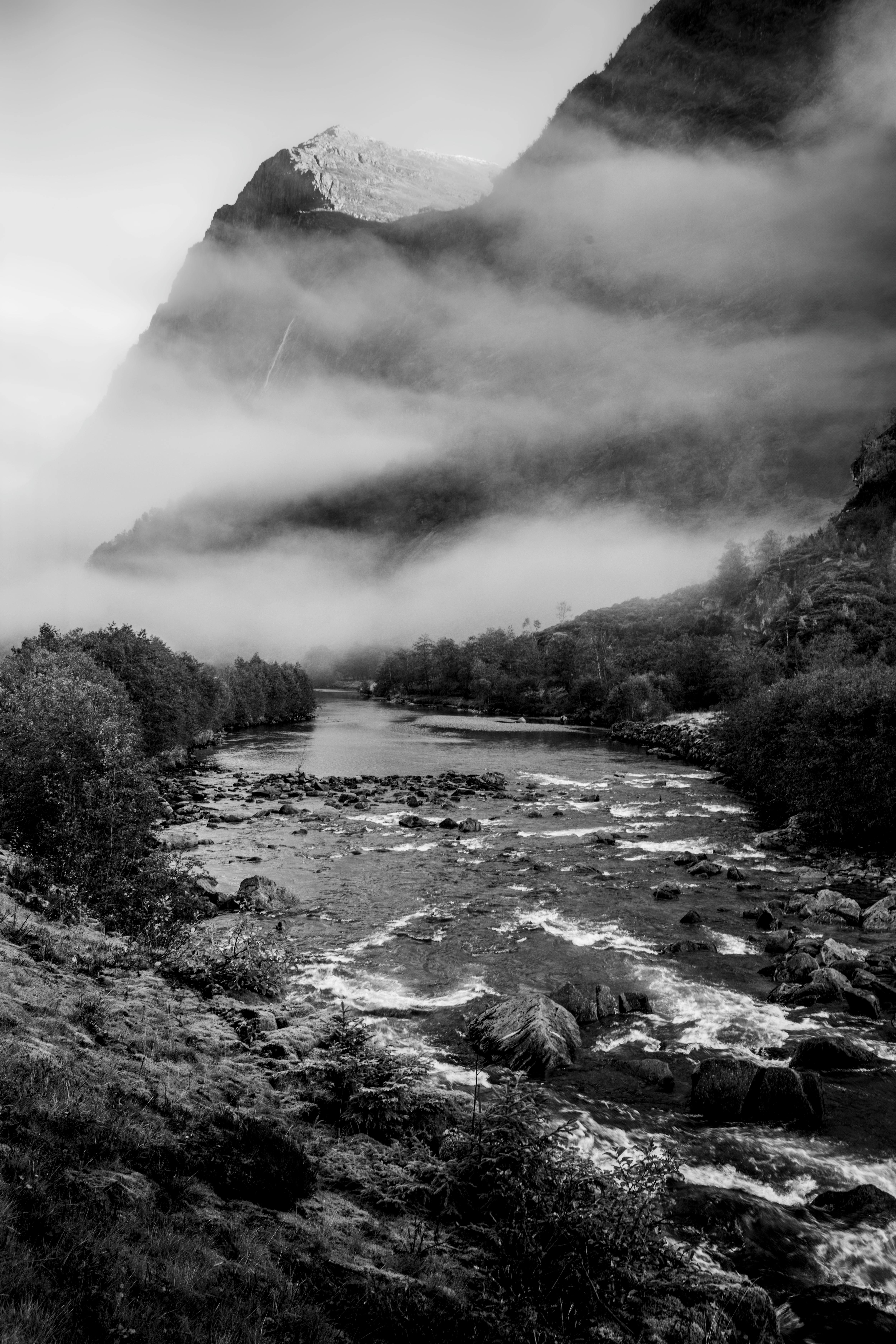 Serene black and white landscape of a misty mountain river scene with lush greenery.