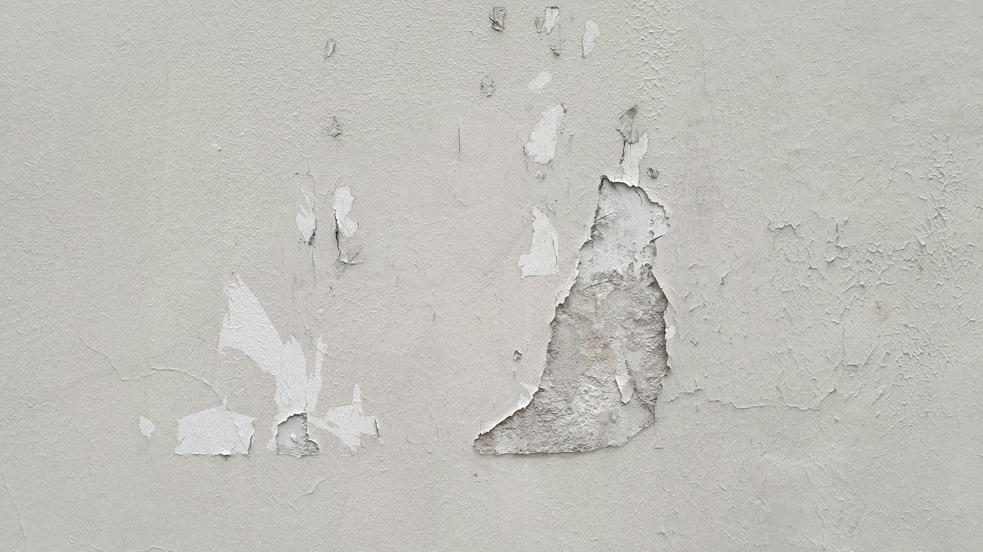 Free Detailed view of peeling paint on a concrete wall, showing decay and texture. Stock Photo