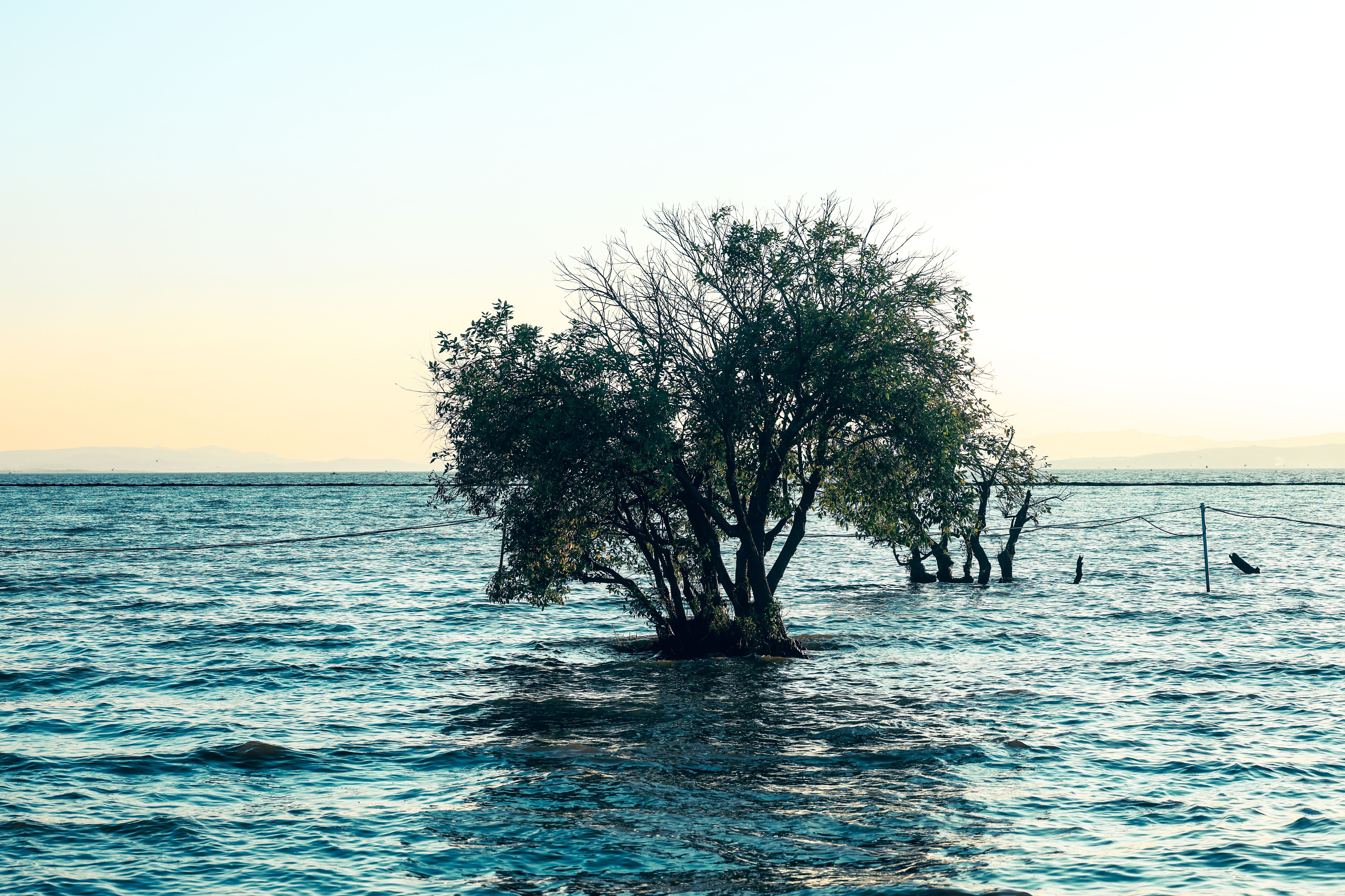 climate resilience, sea level rise, drought mitigation, ecosystem restoration, climate policy, Climate adaptation — Photo by 