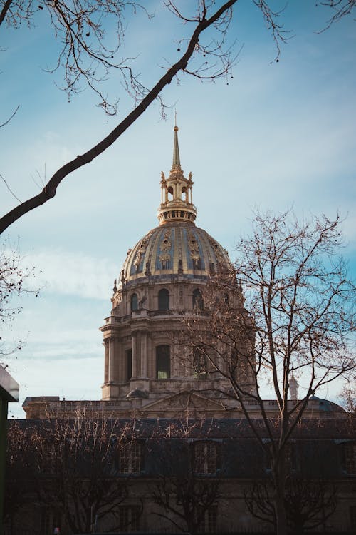 Free Captured in Paris, the golden dome of Les Invalides framed by winter trees against a clear sky. Stock Photo