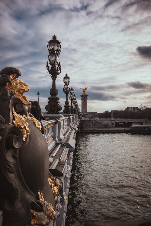 Free Intricate design of Pont Alexandre III bridge in Paris during winter afternoon. Stock Photo