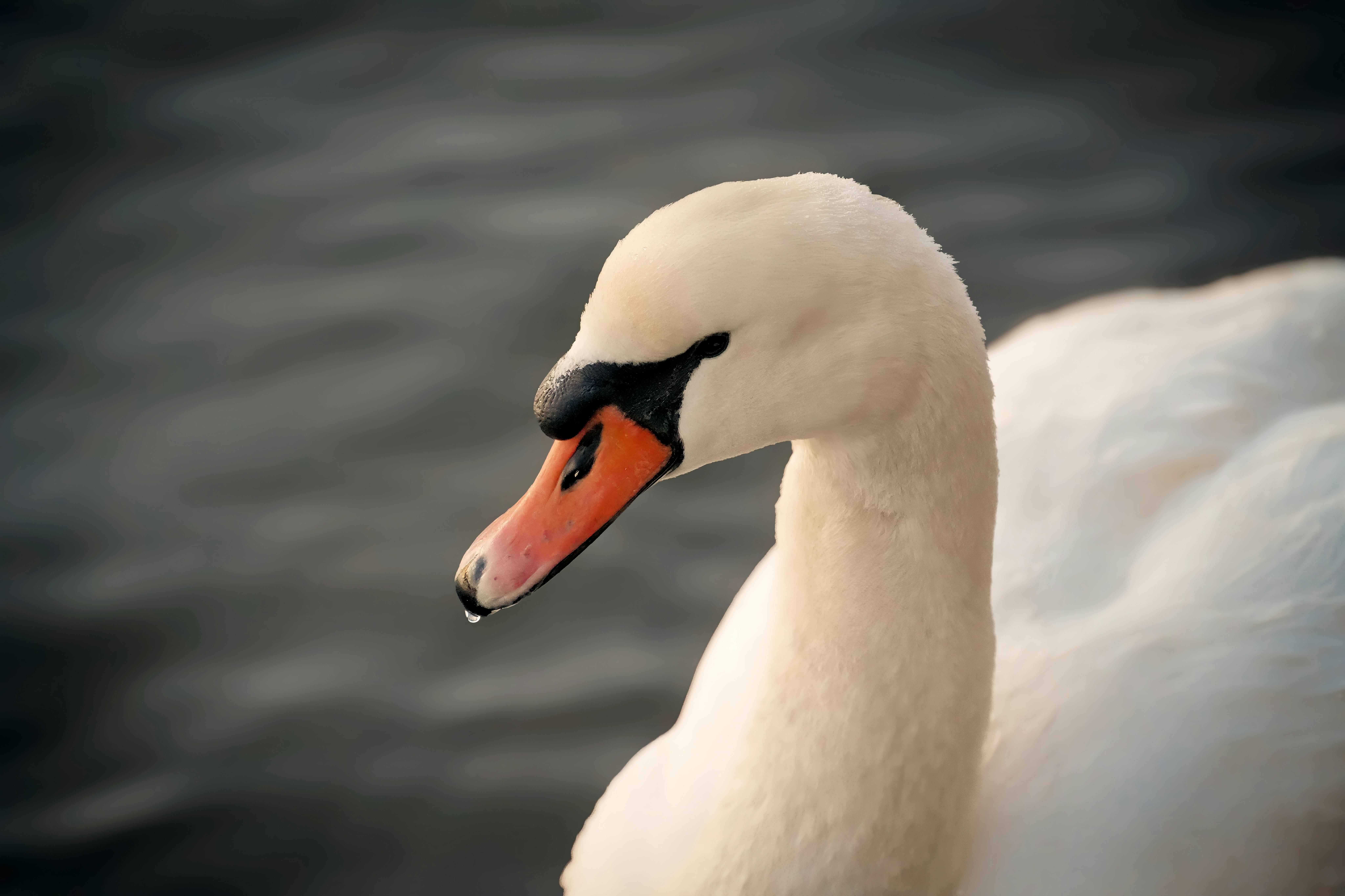 Daybreak. 12° F. January 25, 2025. Cove Island Park, Stamford, CT.