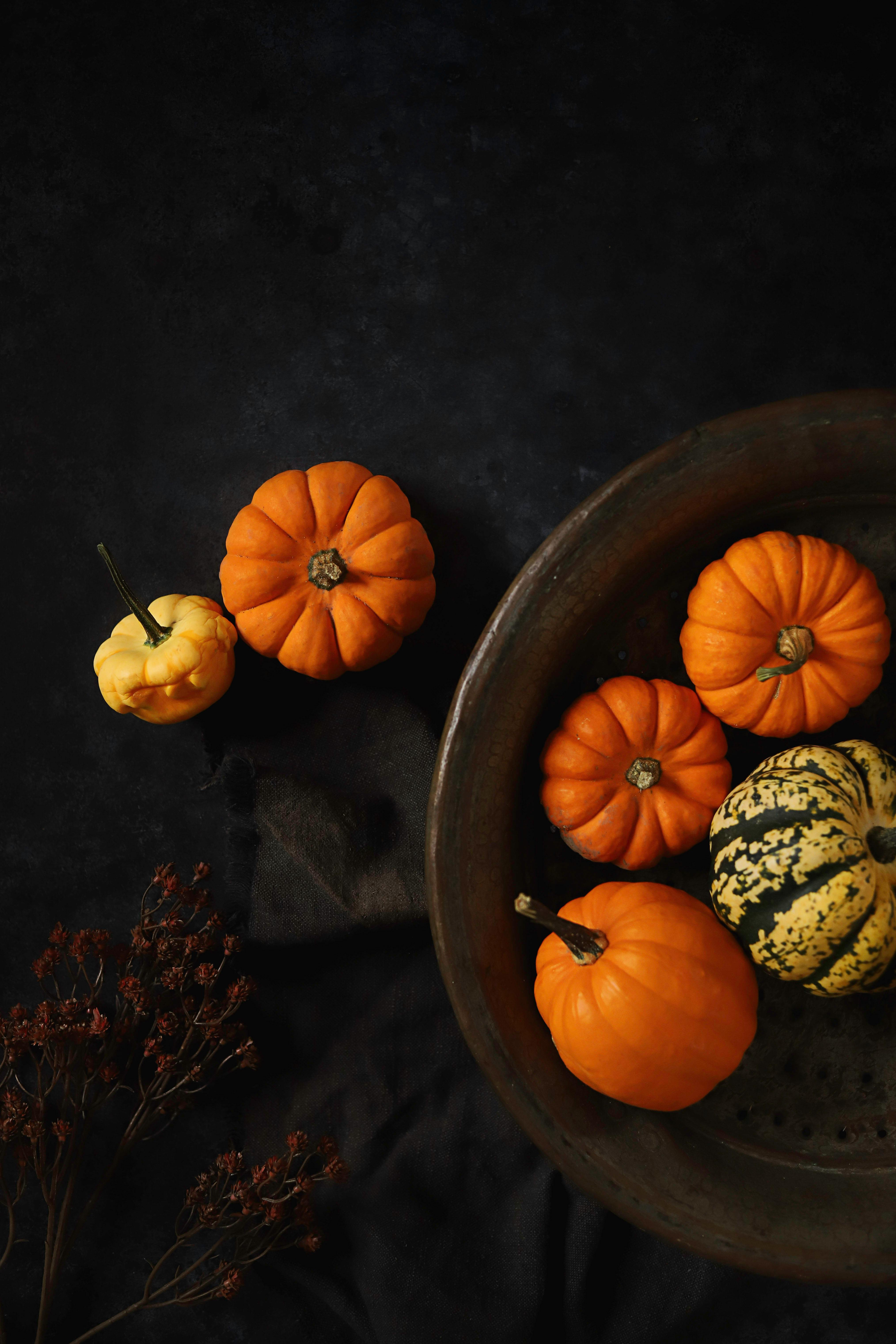 Artistic flat lay of orange pumpkins and gourds on dark background, evoking fall vibes.