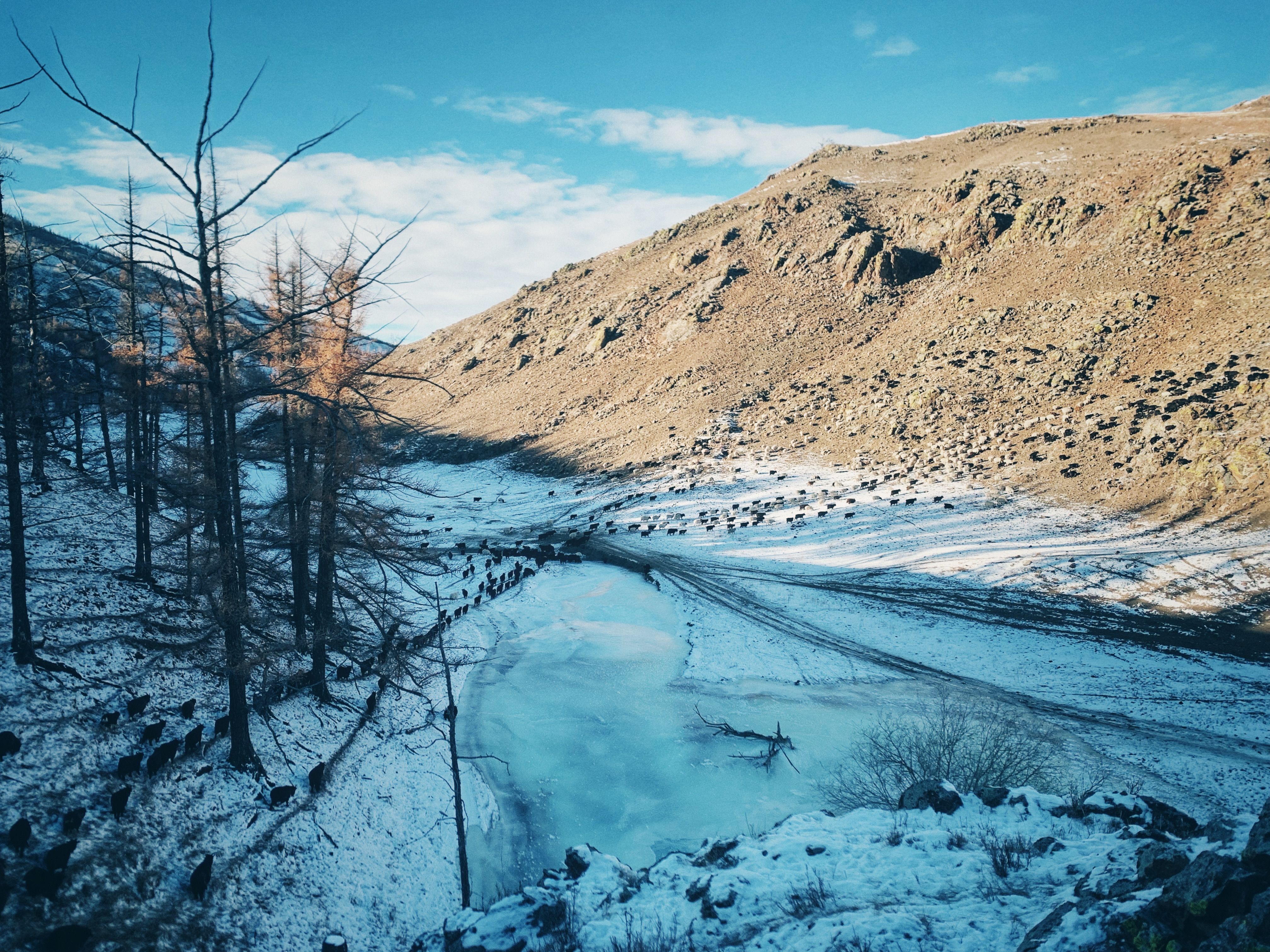 Scenic Winter Landscape with Snowy Hills · Free Stock Photo