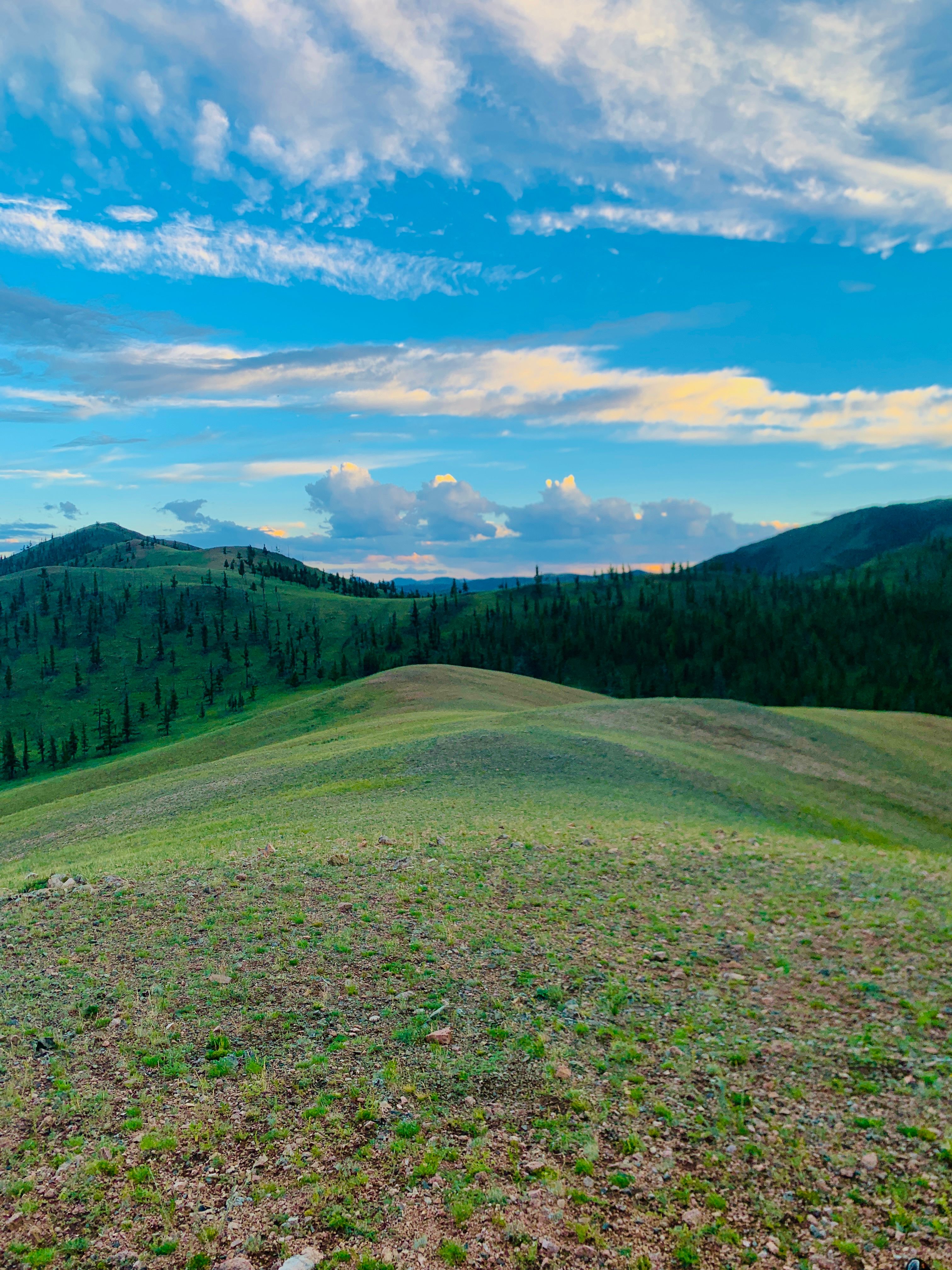 Rolling green hills beneath a bright blue sky, photo by E. Dugarjantsan on Pexels
