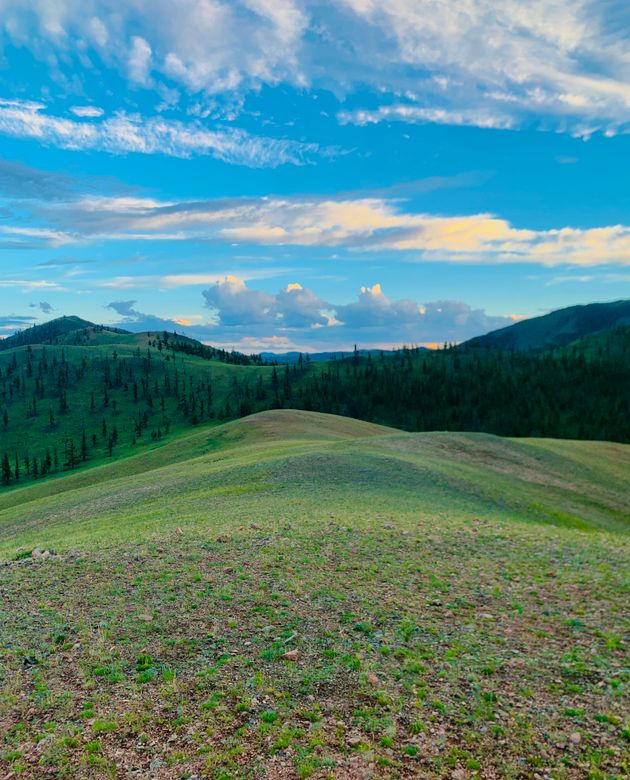 Rolling green hills beneath a bright blue sky, photo by E. Dugarjantsan on Pexels
