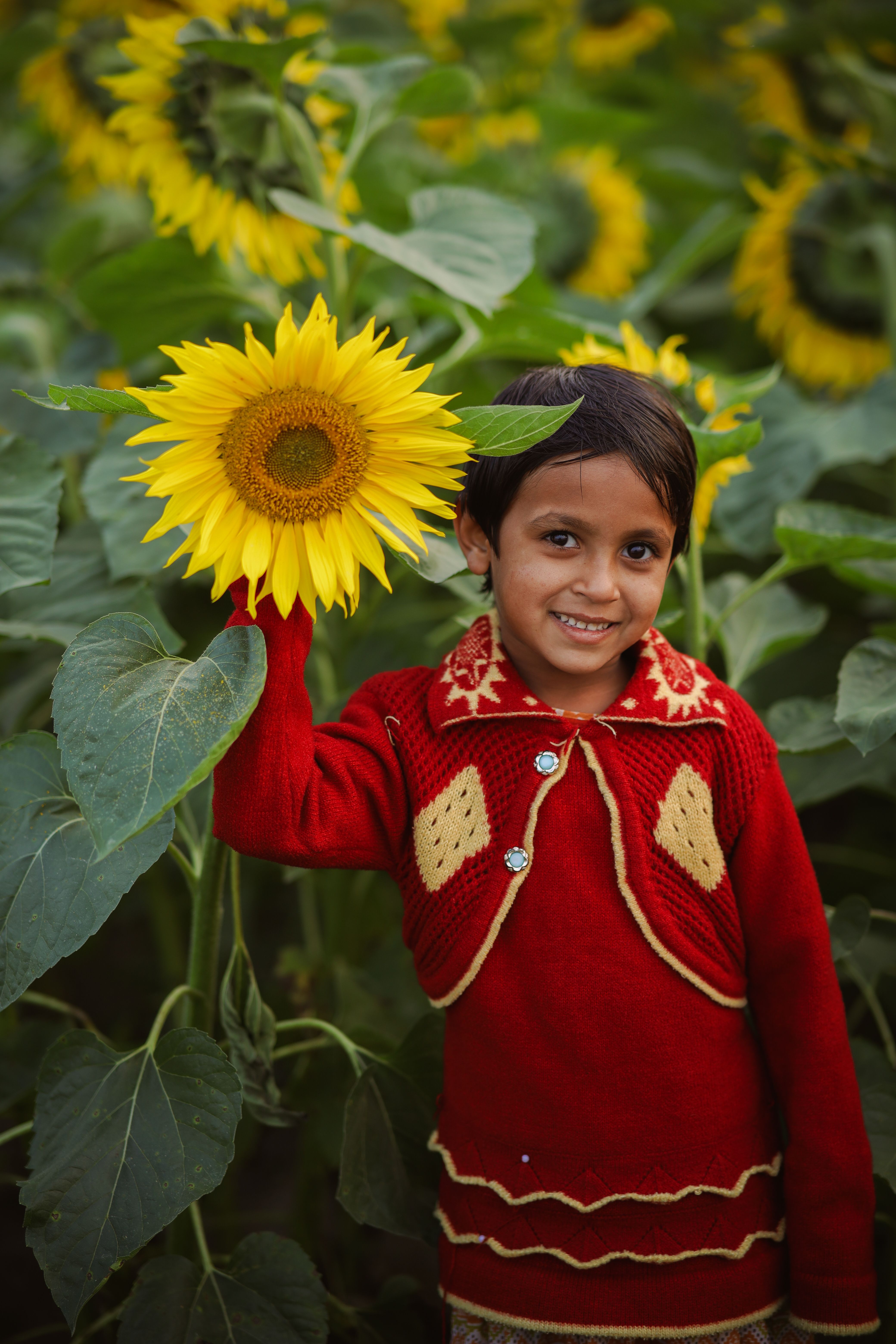 Cheerful Child Holding Vibrant Sunflower Outdoors · Free Stock Photo