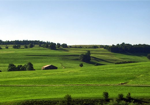 Subdividing Land Without a Sewer Connection in SA: Which Approval Track Is Your Block On?