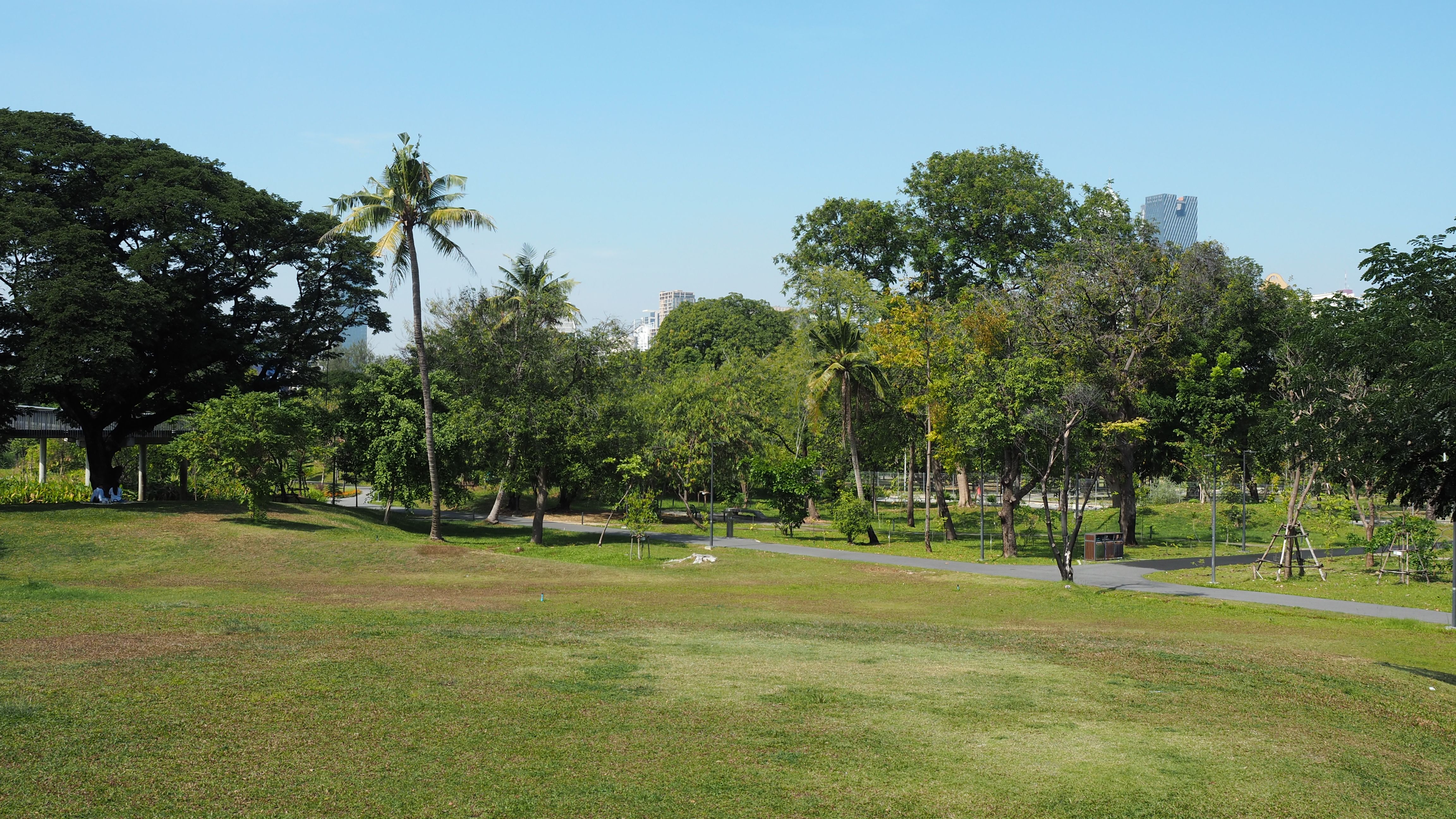 Lush Green Park with Pathway and Trees in Daylight · Free Stock Photo