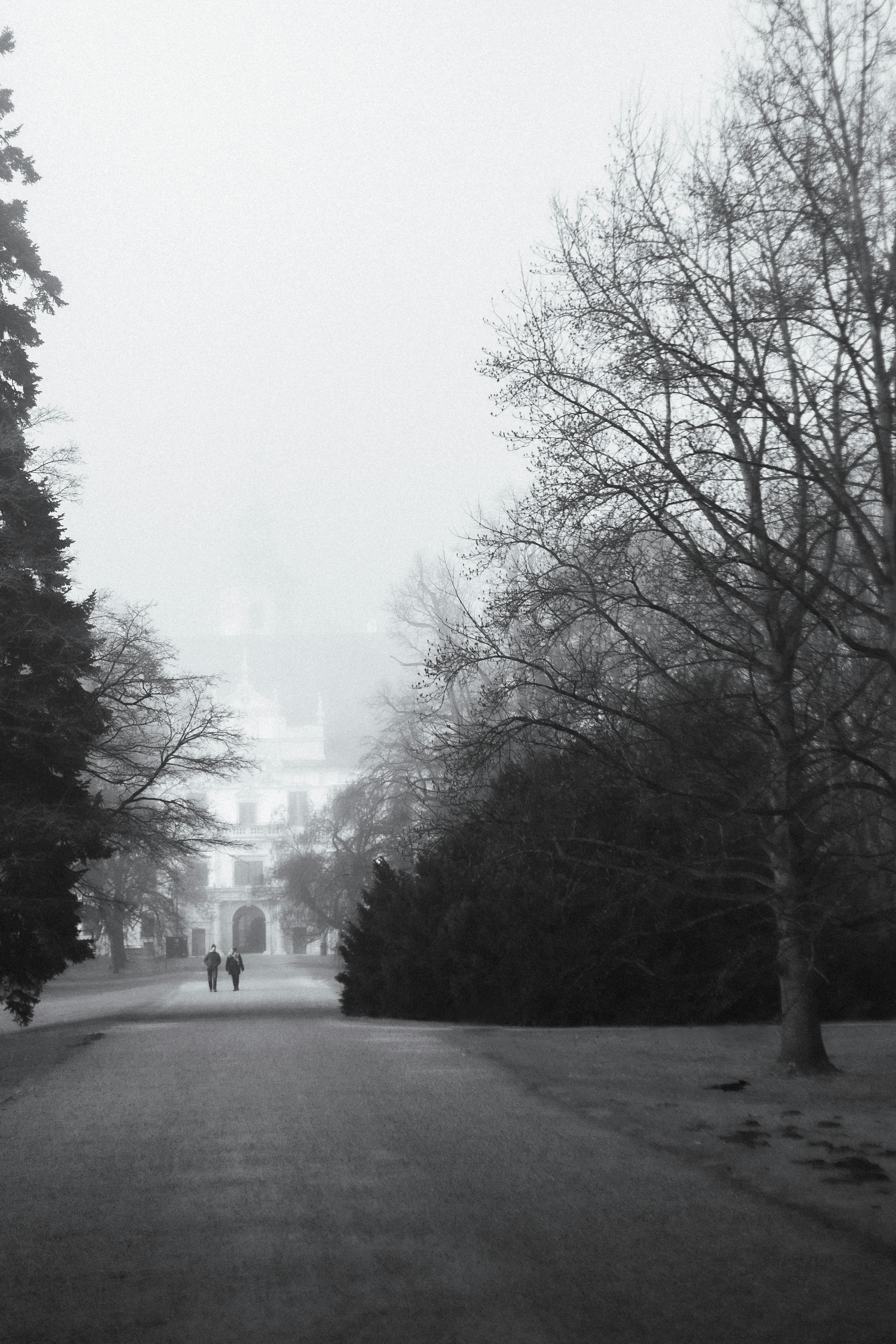 Black and white view of a misty winter park with trees and distant people.