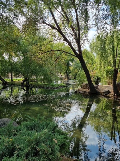 Free Serene pond surrounded by lush trees in Afyonkarahisar, Türkiye. Stock Photo