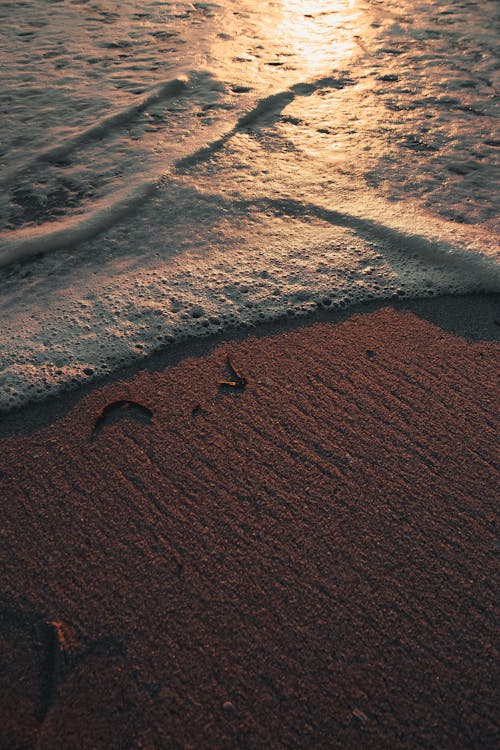 Photo of Brown Sand and Body of Water